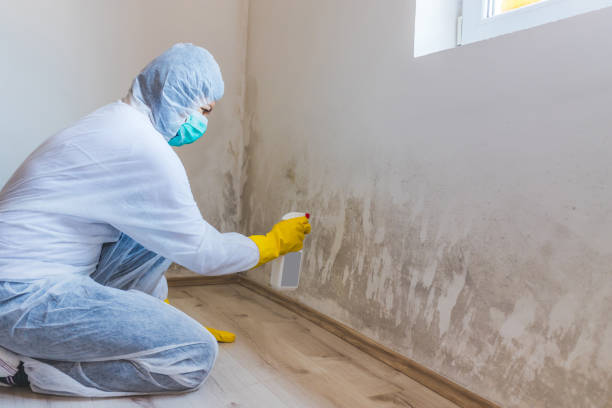 Licensed Commercial Mold Remediation service in Lake Elmo, MN - WQB Mold Removal