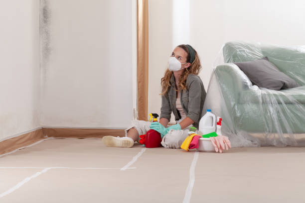Reliable Commercial Mold Remediation contractor in Lake Elmo, MN by WQB Mold Removal